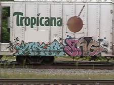 arys_sag_tropicana_rollinx.jpg